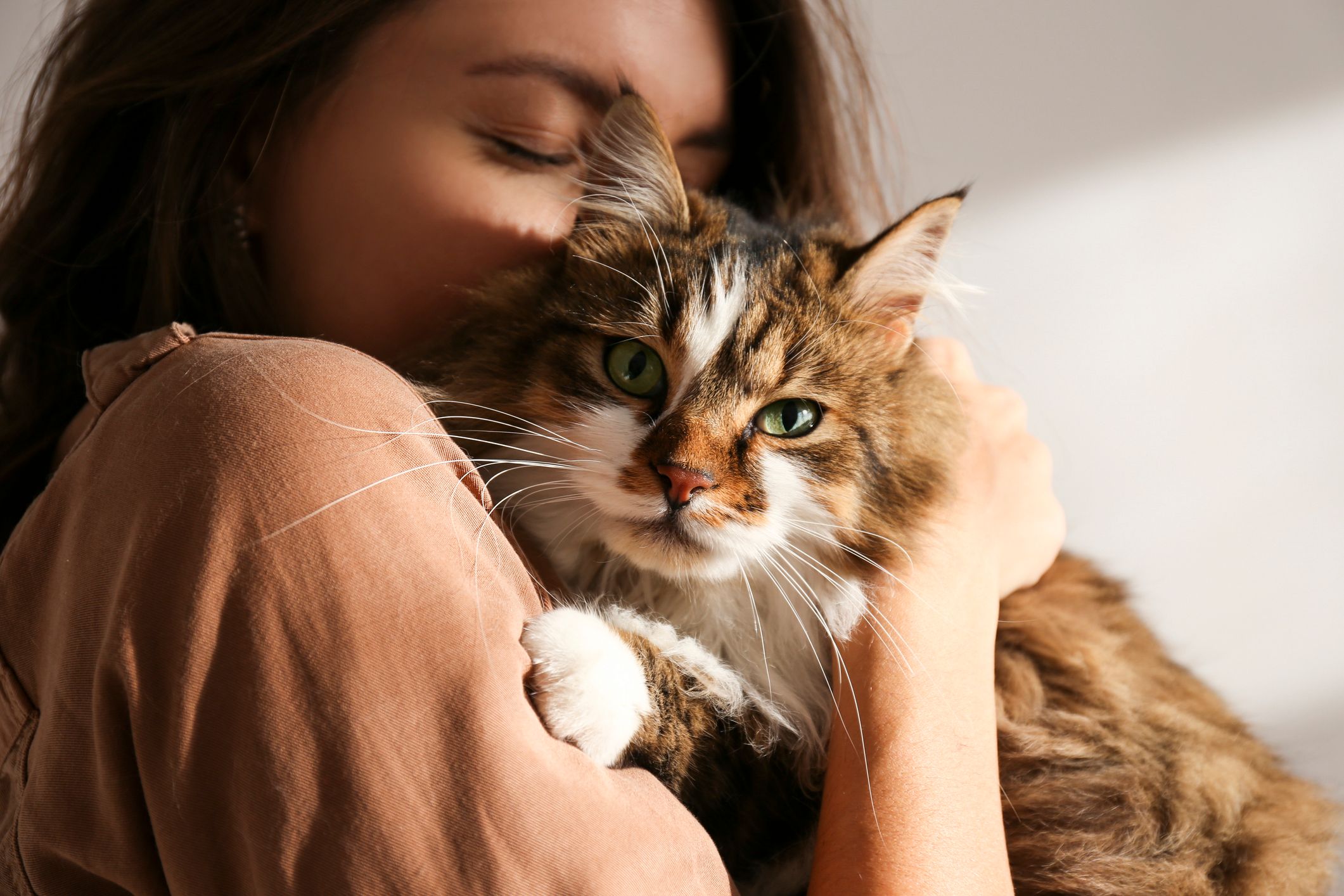 Sua vida gatinho de gente!