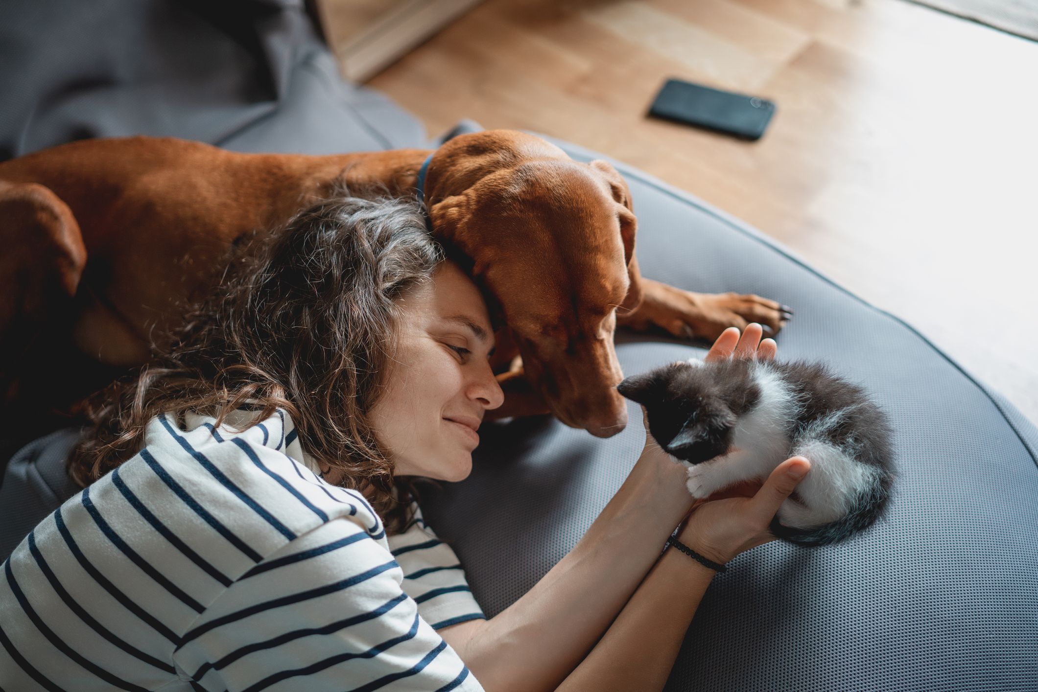 Quando se podem separar os gatinhos da sua mãe?